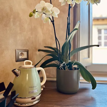 Le Fosse Design * Arezzo